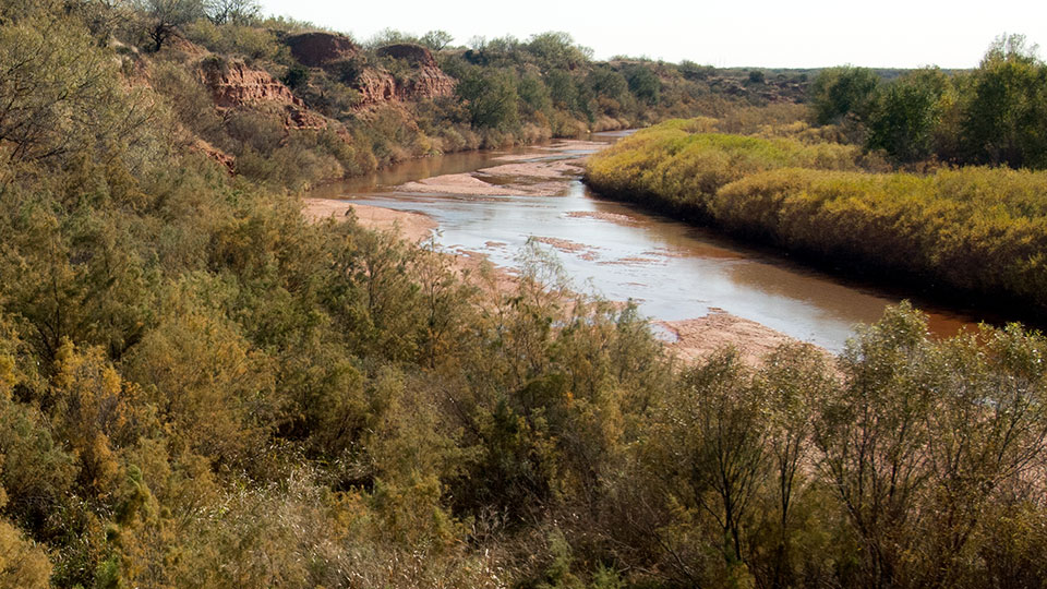 Image described below