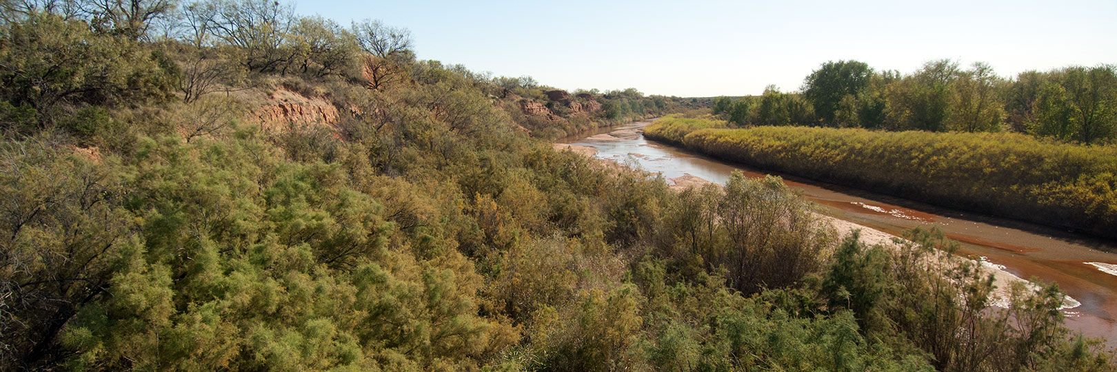 Image described below