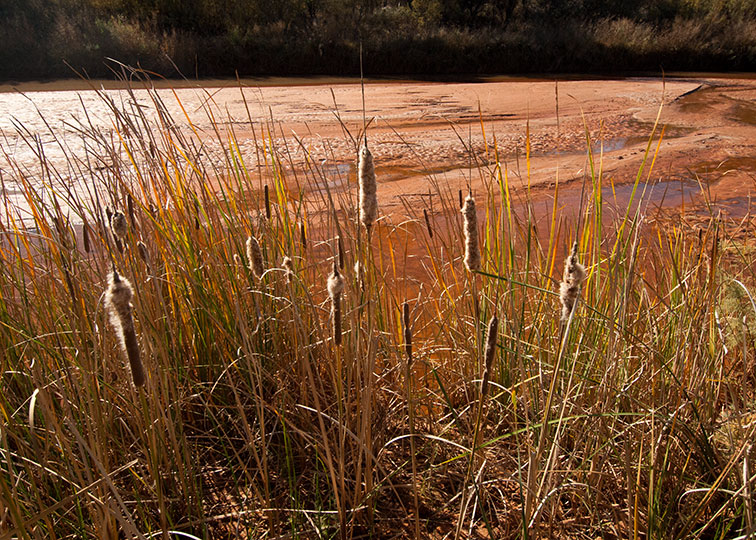 Image described below