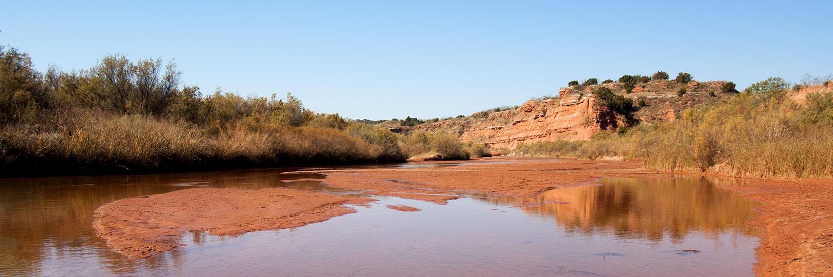 Image described below