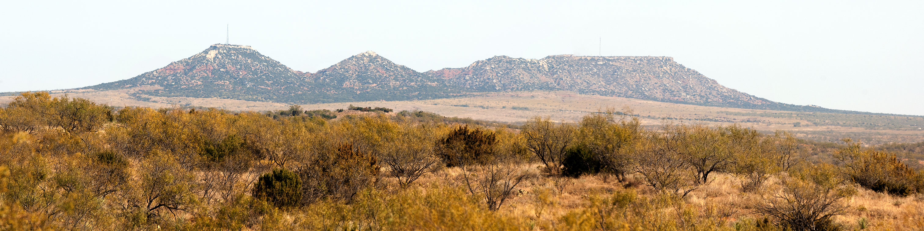 Image described below