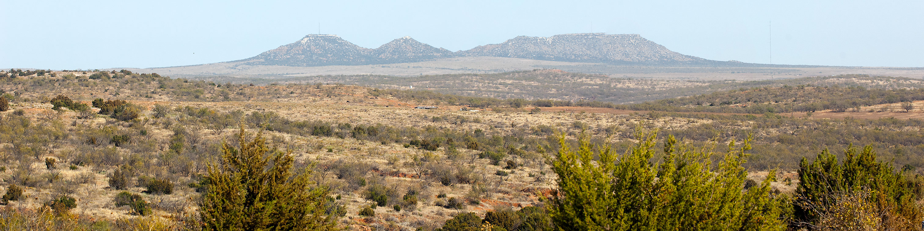 Image described below