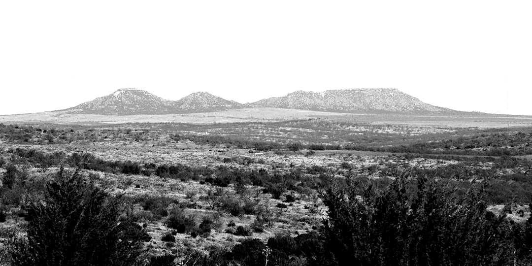 Image described below