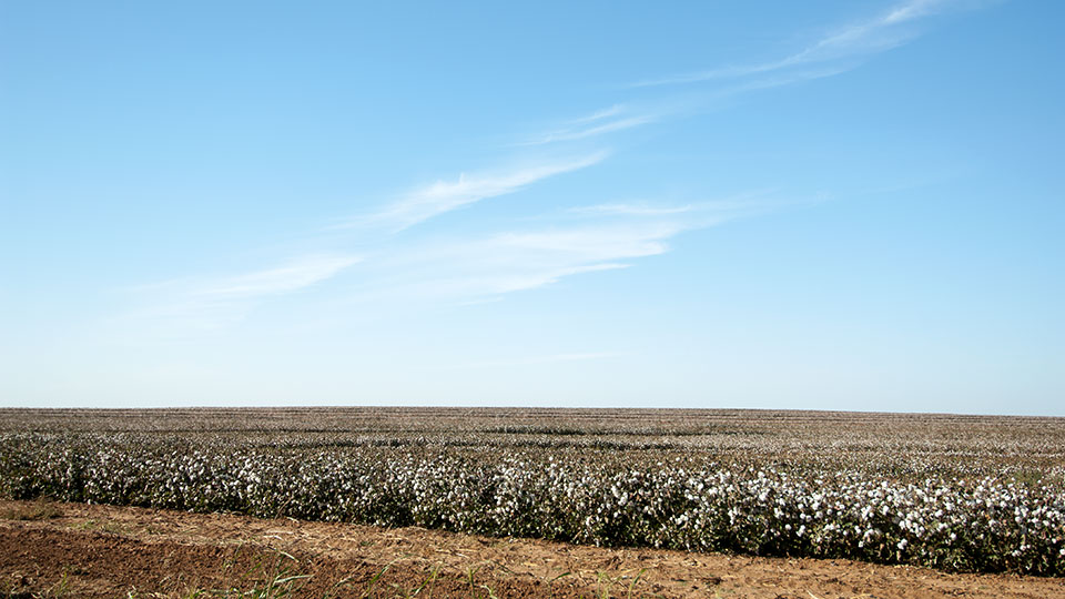 Image described below