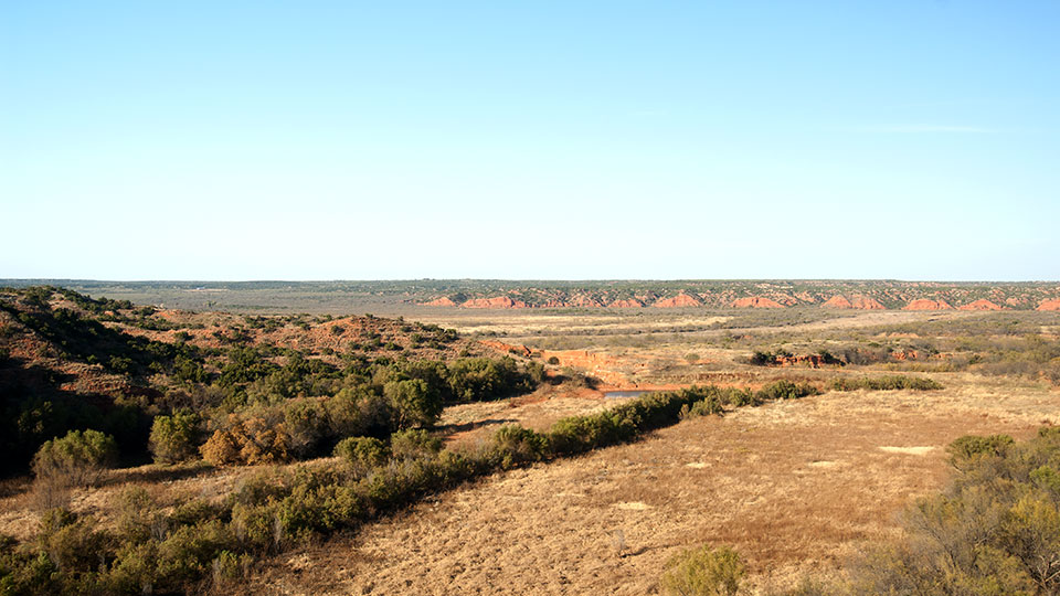 Image described below