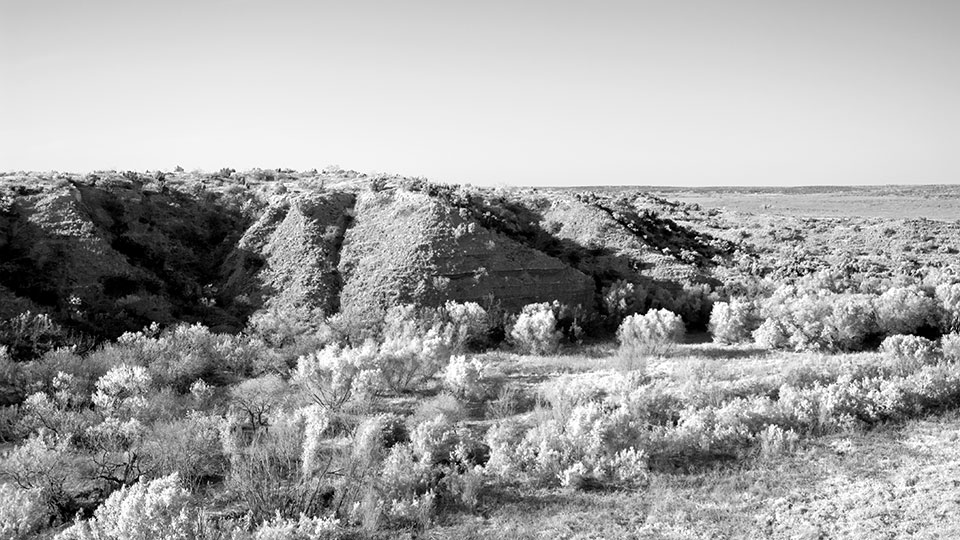 Image described below