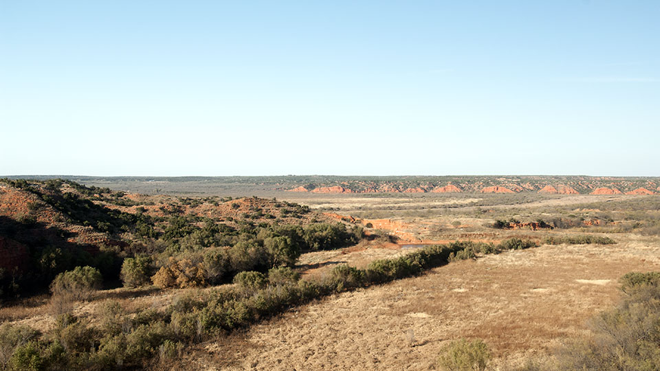 Image described below