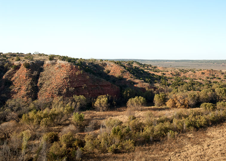 Image described below