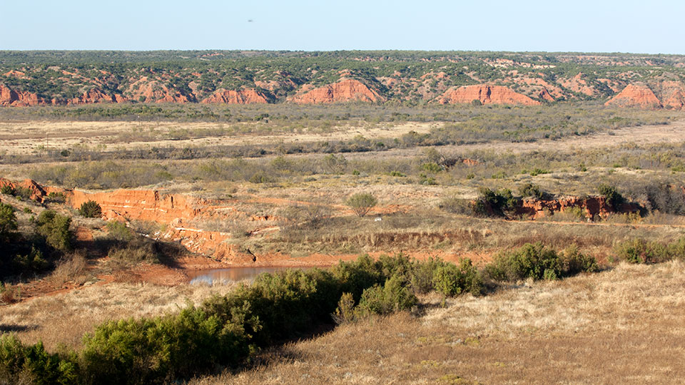 Image described below