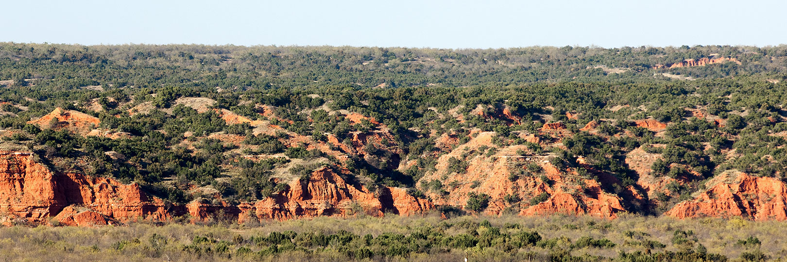 Image described below