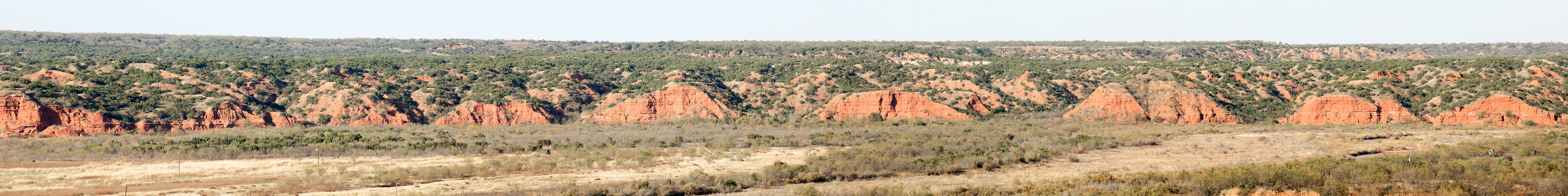 Image described below