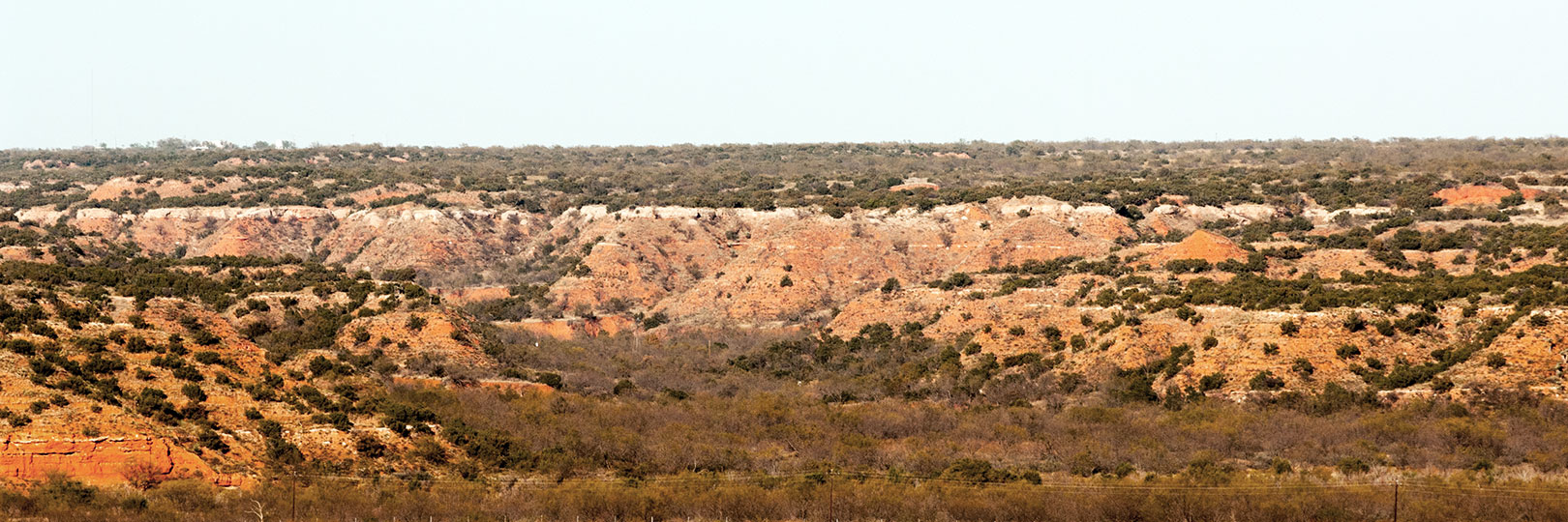 Image described below