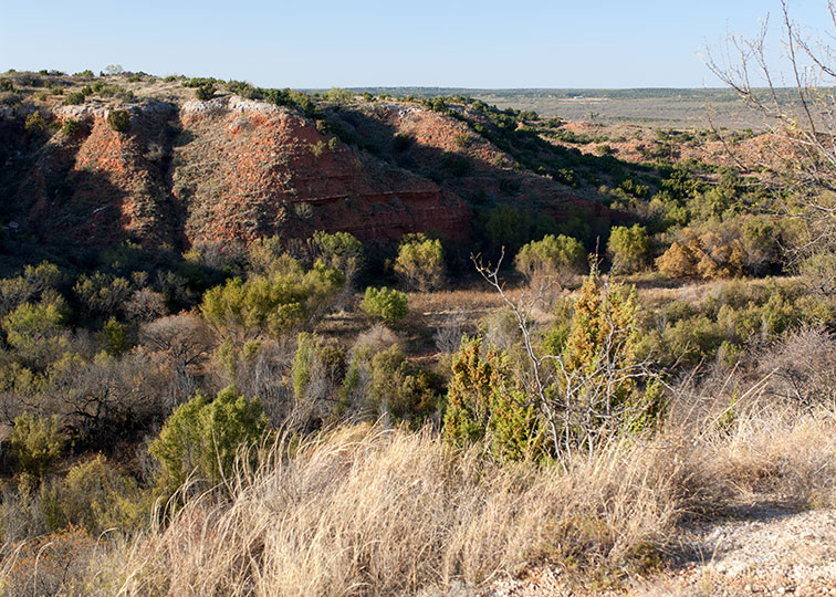 Image described below