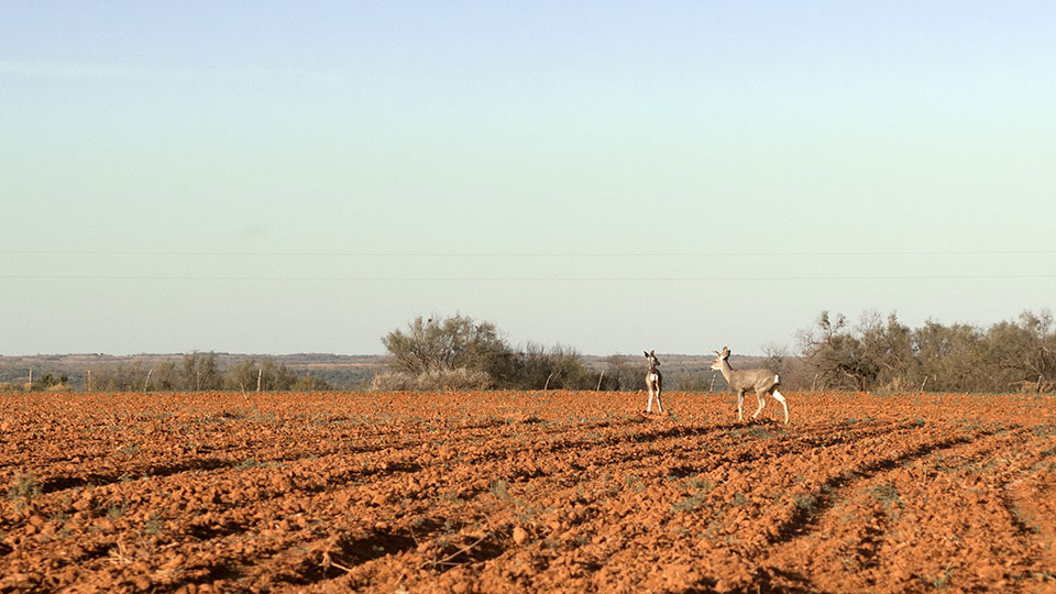 Image described below