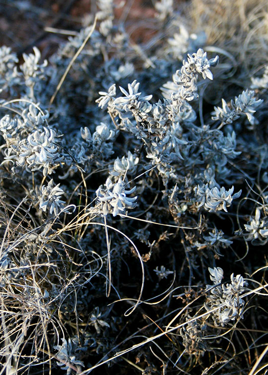 Image described below