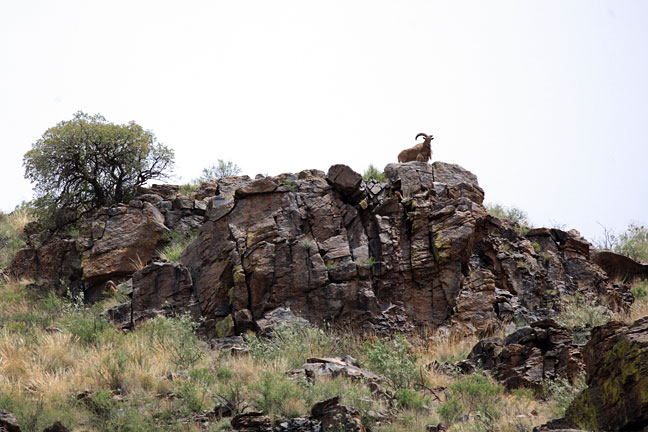 Image described below